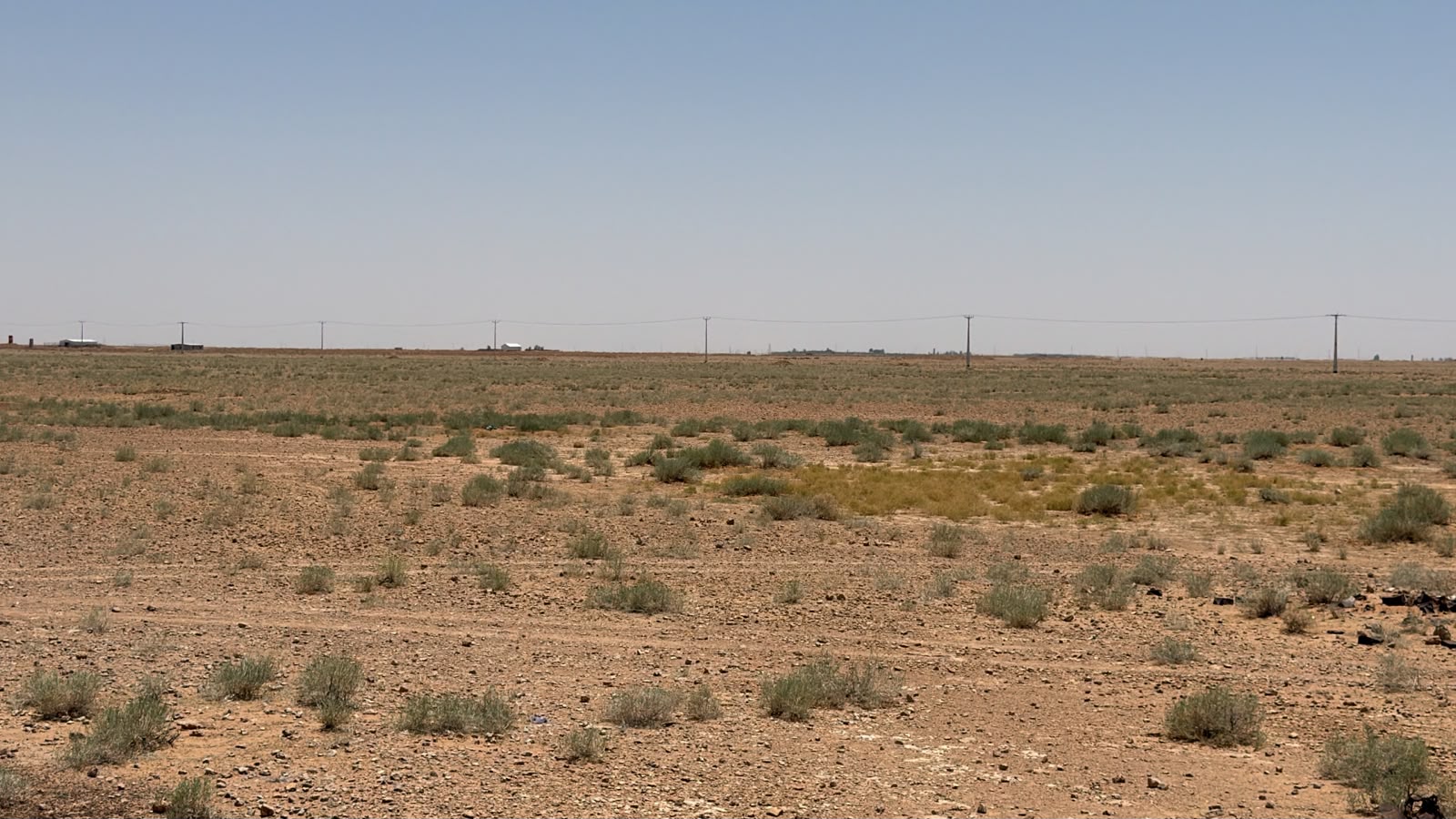 صورة 4