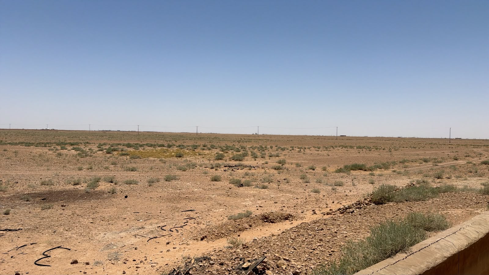 صورة 2